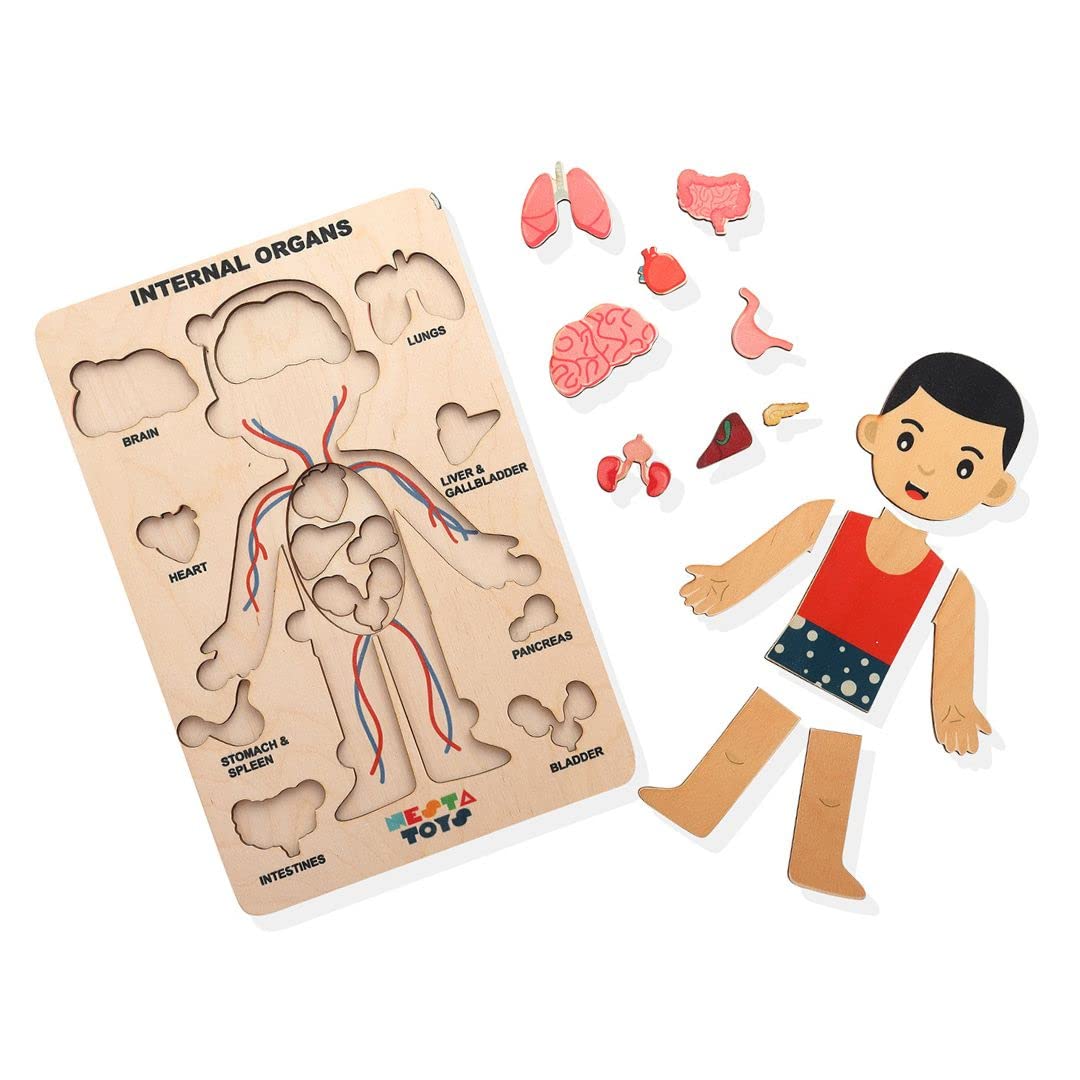 NESTA TOYS - Human Body Anatomy Puzzle (14 Pcs) | Montessori Puzzle for Preschoolers and Kids Ages 3+