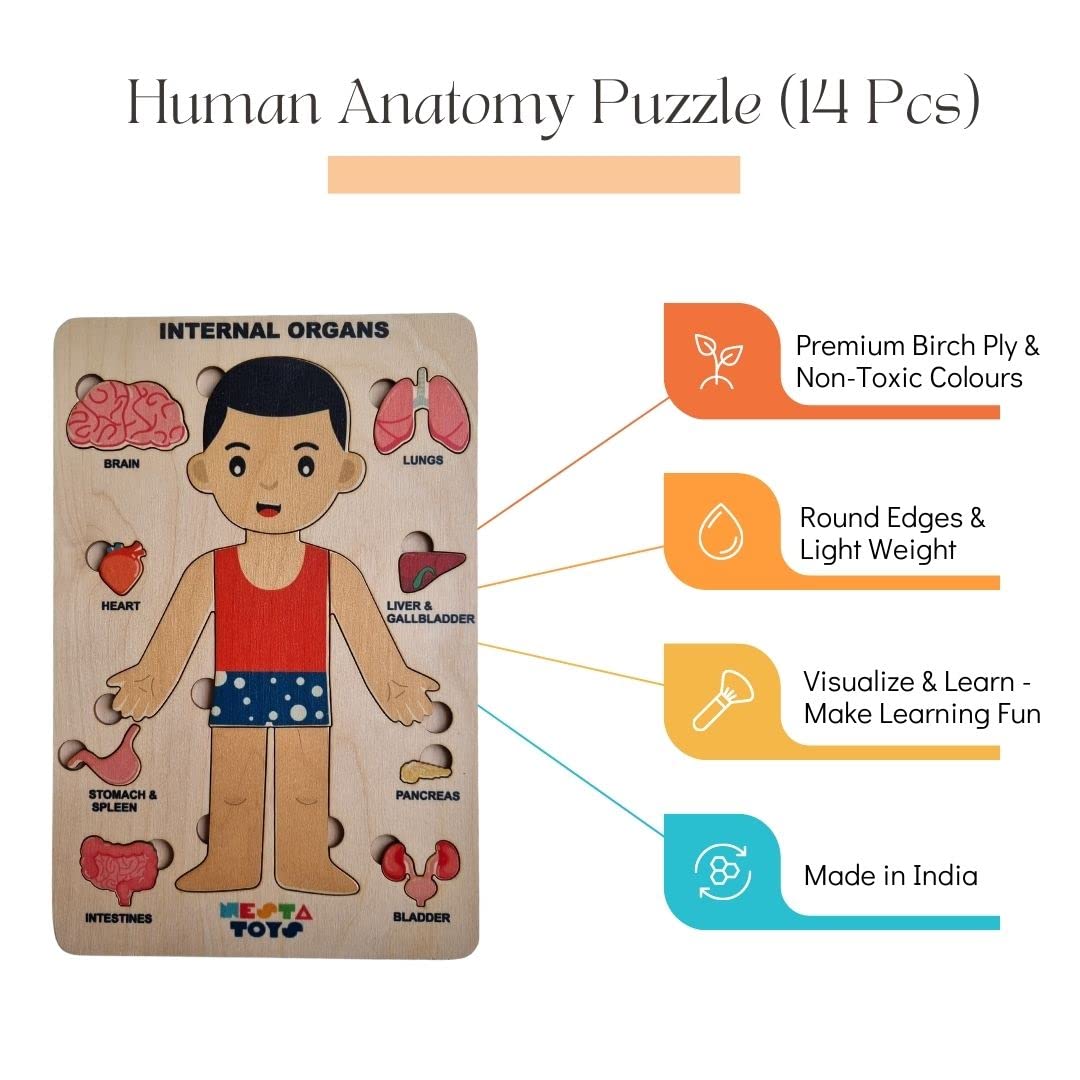 NESTA TOYS - Human Body Anatomy Puzzle (14 Pcs) | Montessori Puzzle for Preschoolers and Kids Ages 3+