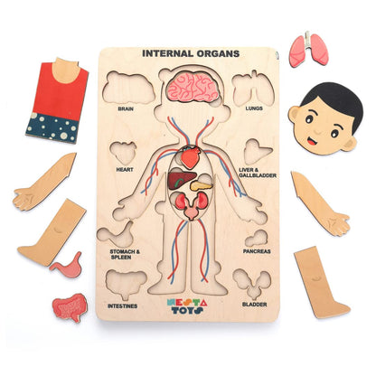 NESTA TOYS - Human Body Anatomy Puzzle (14 Pcs) | Montessori Puzzle for Preschoolers and Kids Ages 3+