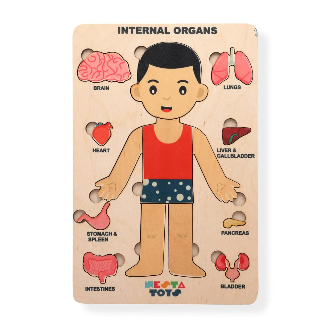 NESTA TOYS - Human Body Anatomy Puzzle (14 Pcs) | Montessori Puzzle for Preschoolers and Kids Ages 3+