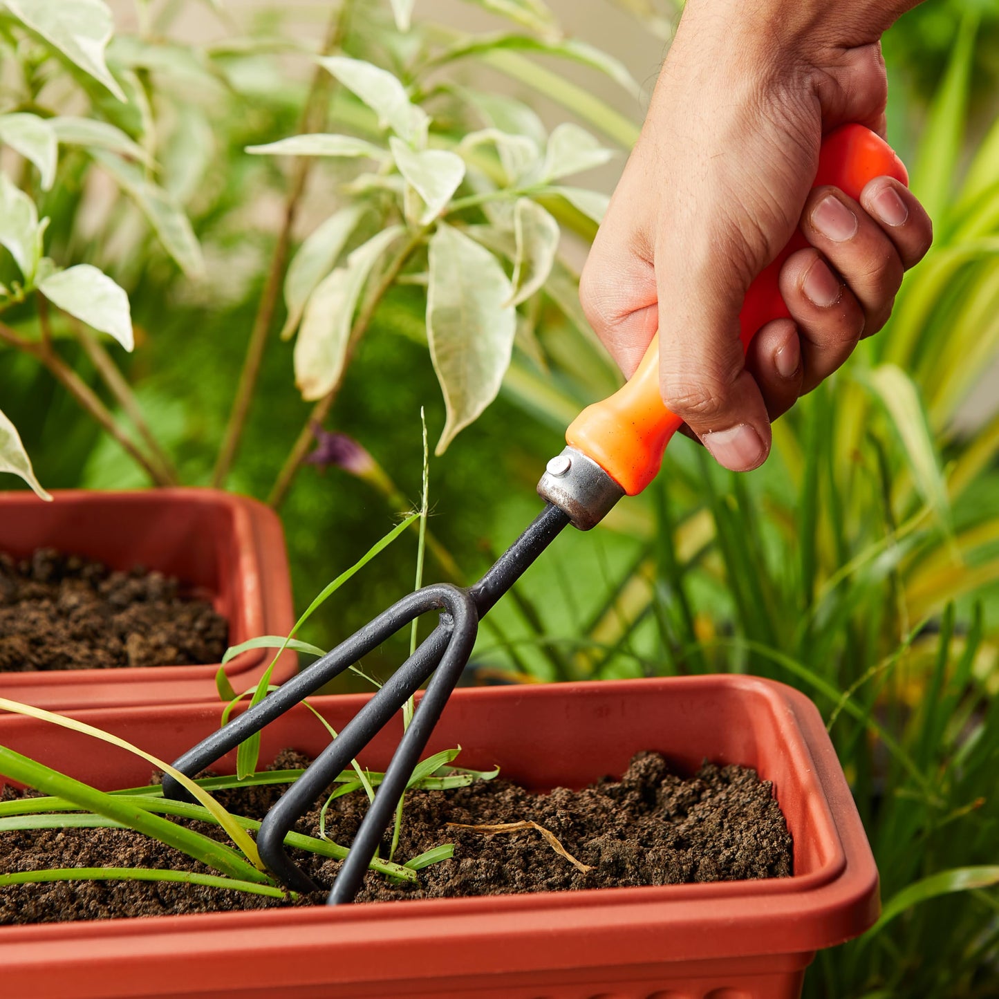 Amazon Brand - Solimo 5-Piece Gardening Tool Kit | Hand Cultivator, Hand Fork, Large & Small Trowels, Weeder | Gardening Tools Set for Home Gardens | Great for Gifting