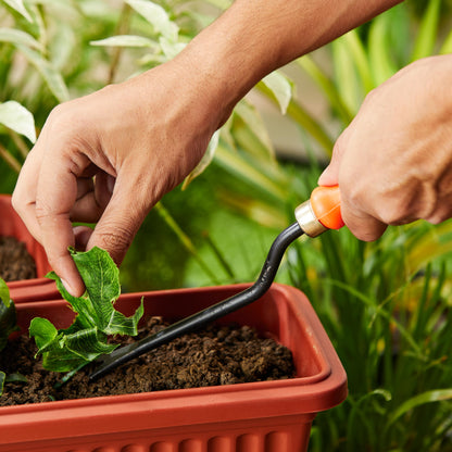 Amazon Brand - Solimo 5-Piece Gardening Tool Kit | Hand Cultivator, Hand Fork, Large & Small Trowels, Weeder | Gardening Tools Set for Home Gardens | Great for Gifting